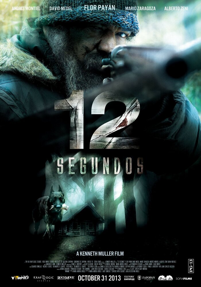 12 секунд (2013)