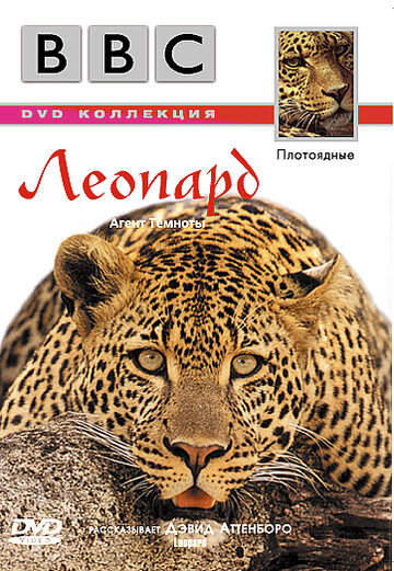 BBC: Леопард (1999)