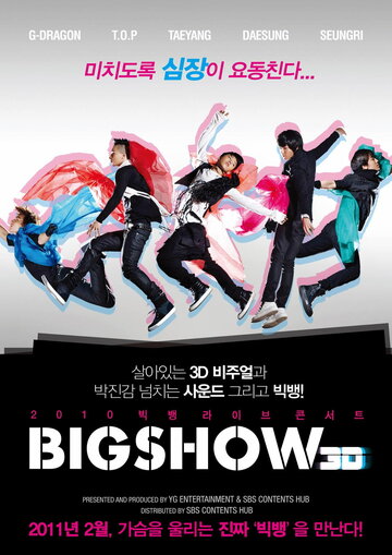 Концерт Big Bang 3D (2010)