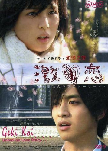Роковая история любви (2010)