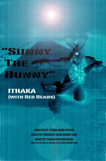 Sunny the Bunny (2017)